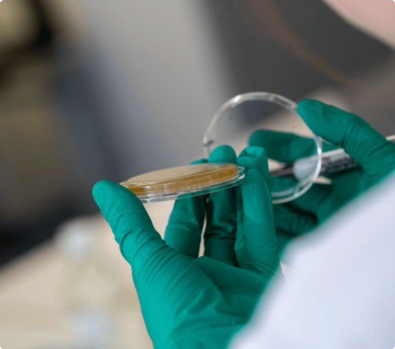 Petri dish in lab
